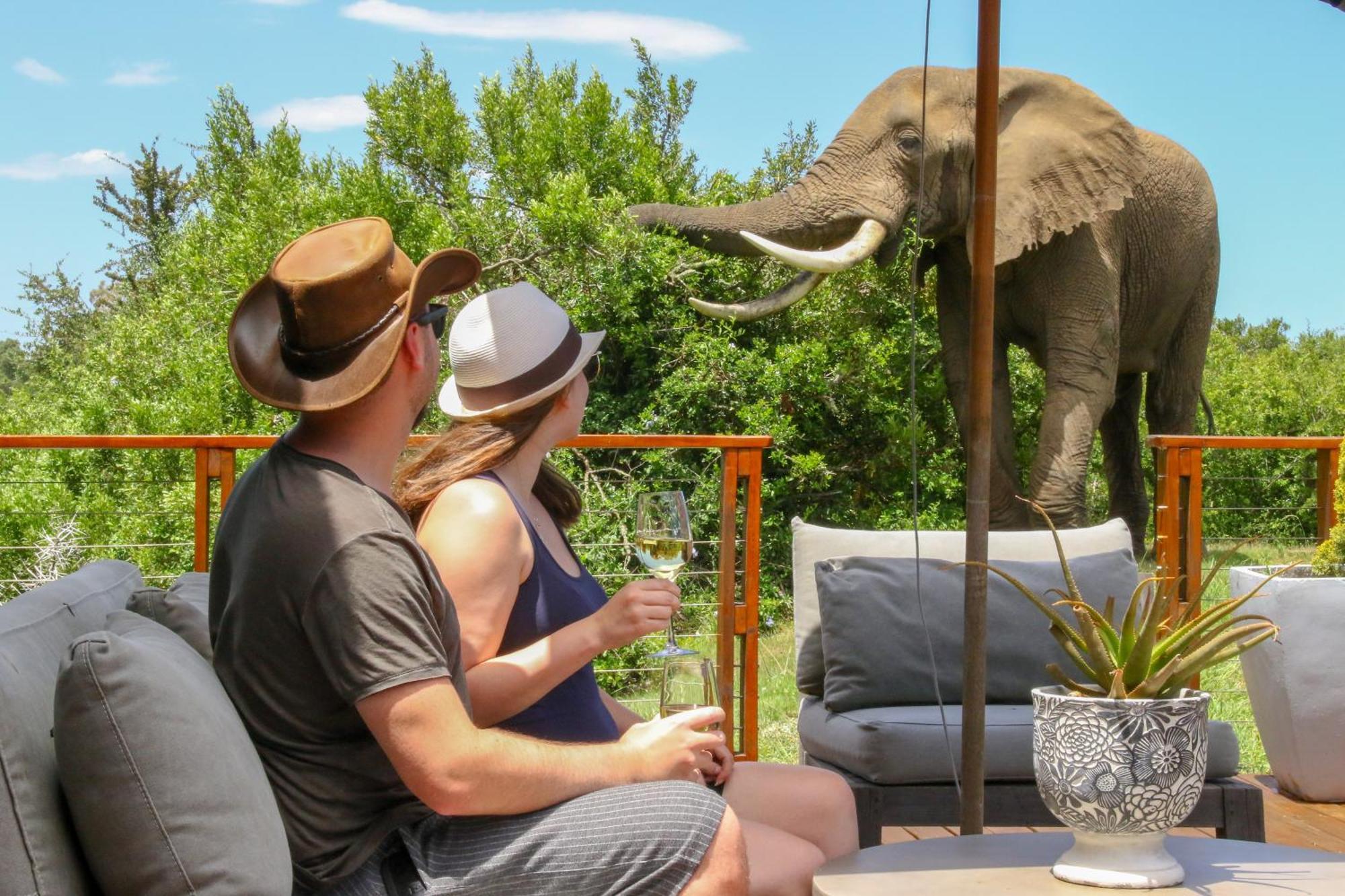 Barefoot Addo Elephant Lodge Εξωτερικό φωτογραφία