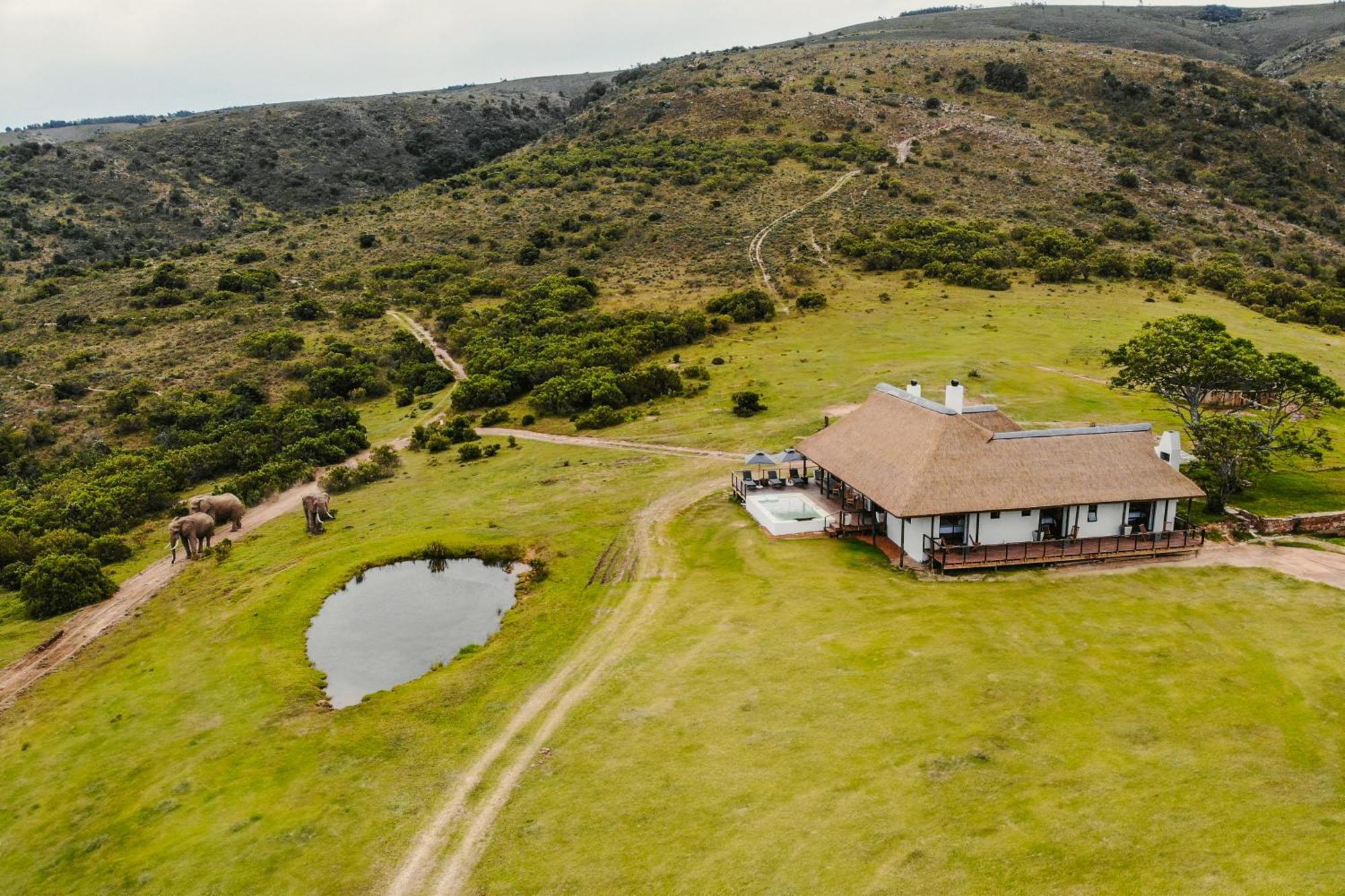 Barefoot Addo Elephant Lodge Εξωτερικό φωτογραφία